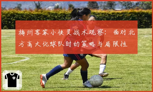 梅州客家小快灵战术观察:面对北方高大化球队时的策略与局限性