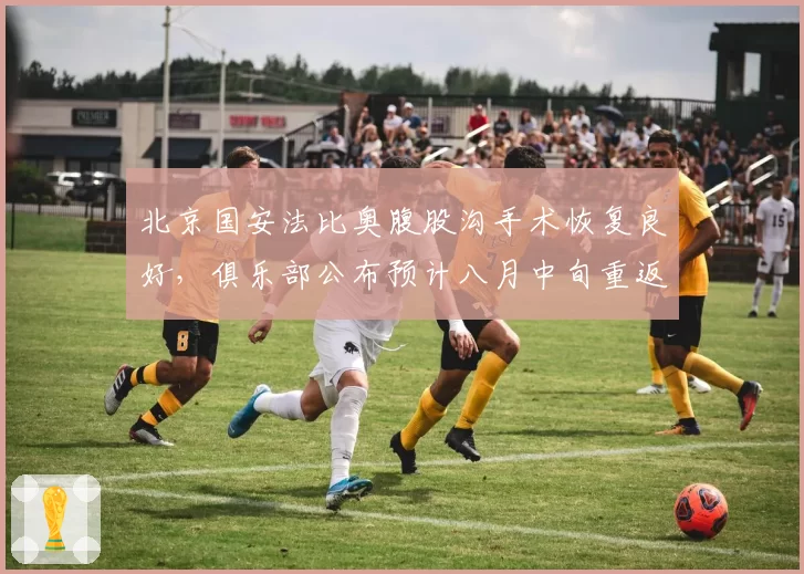 北京国安法比奥腹股沟手术恢复良好，俱乐部公布预计八月中旬重返赛场