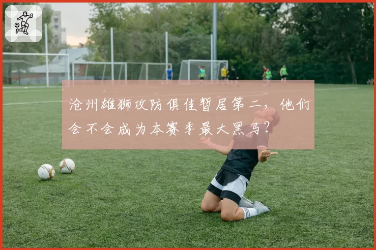 沧州雄狮攻防俱佳暂居第二,他们会不会成为本赛季最大黑马?