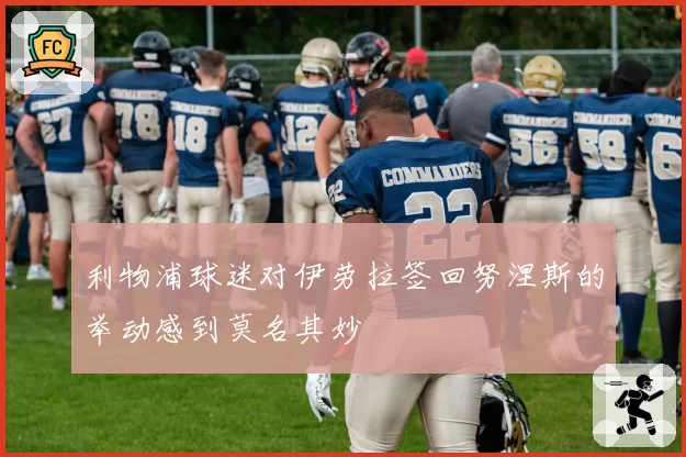 利物浦球迷对伊劳拉签回努涅斯的举动感到莫名其妙