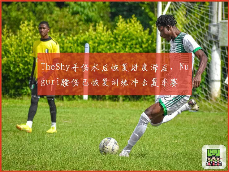 TheShy手伤术后恢复进度滞后，Nuguri腰伤已恢复训练冲击夏季赛