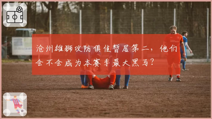 沧州雄狮攻防俱佳暂居第二，他们会不会成为本赛季最大黑马？