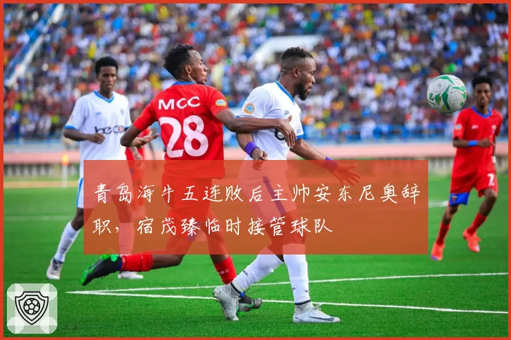 青岛海牛五连败后主帅安东尼奥辞职，宿茂臻临时接管球队